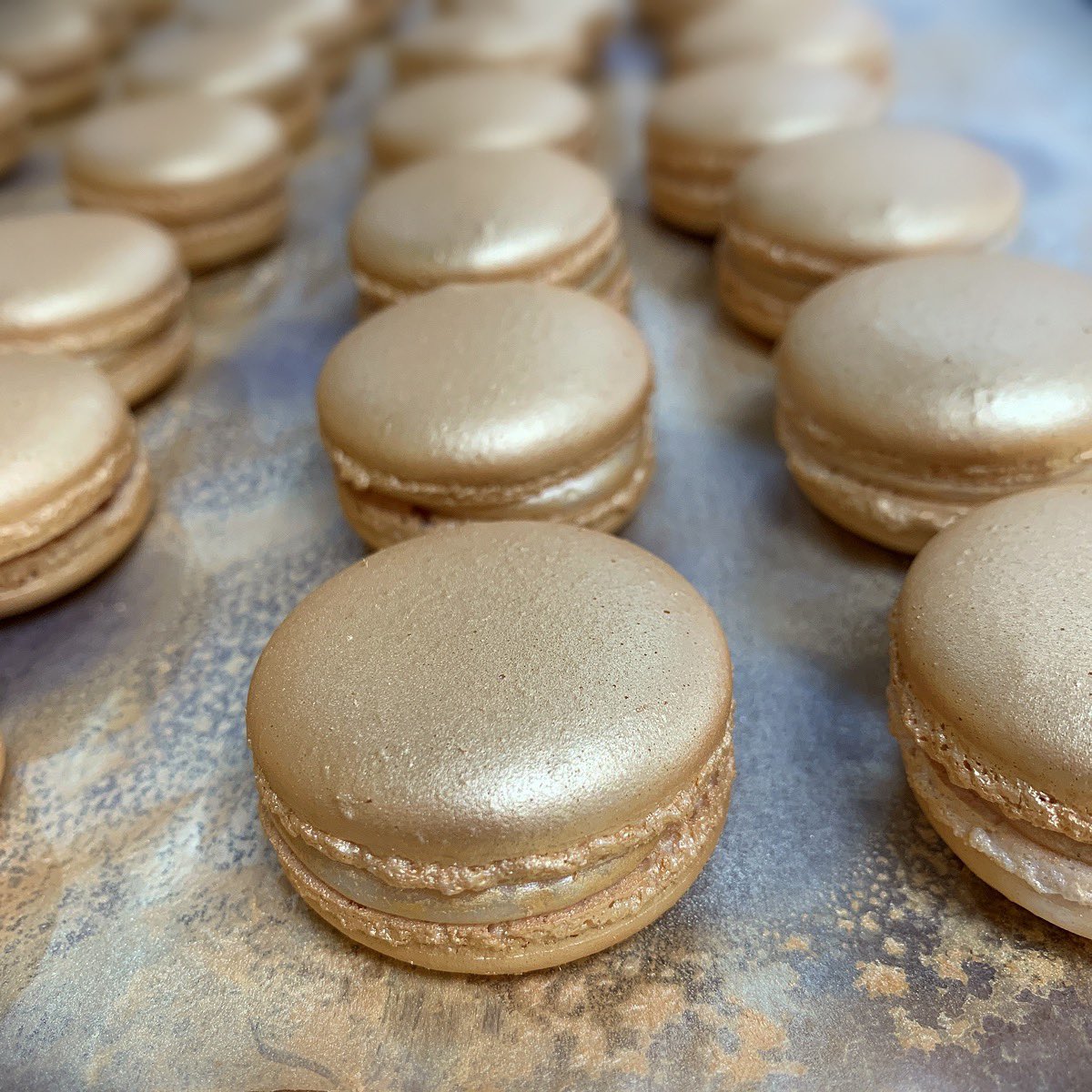 Have a shiny Saturday gang