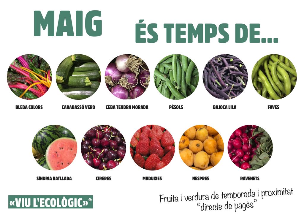 ViulEcologic's tweet photo. És temps de colors, és temps de BIO 🍉 🍒 🍓 
-
#viulecologic #totbototsatotbio #volemalegrarteeldia #maig #éstempsde https://t.co/YMsFEyQ2hJ