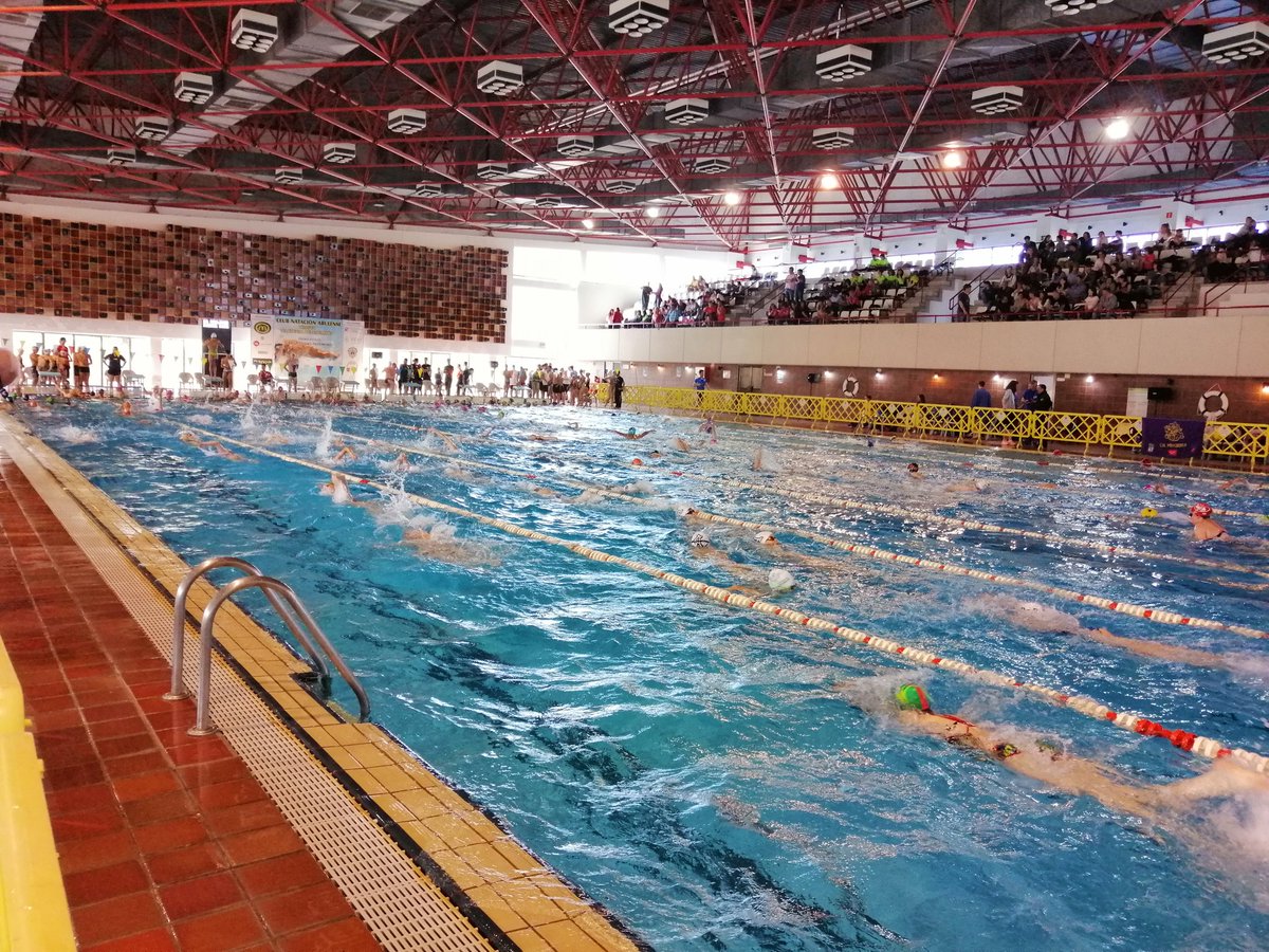 Rodrigojusdado's tweet photo. VI Trofeo Nacional Ávila. Calentando motores. #GOGREDOS🏊♂️ @GSDcdeportivo @cnabulense https://t.co/2RA1TAT2Ri