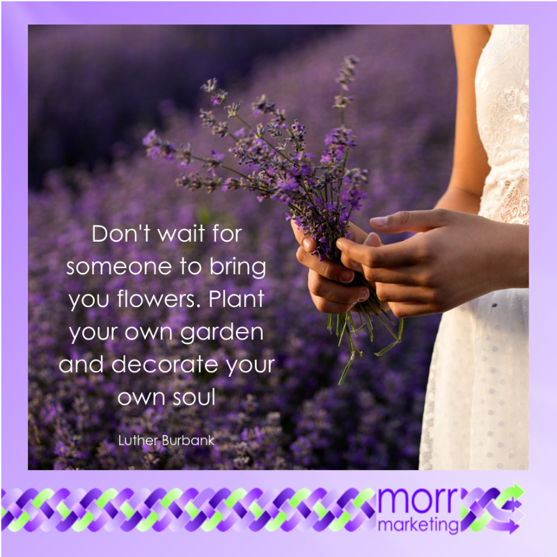MorrMarketingEU's tweet photo. "Don't wait for someone to bring you flowers. Plant your own garden and decorate your own soul" - Luther Burbank #MayMemes #Quotes https://t.co/BDLwyc1EWj