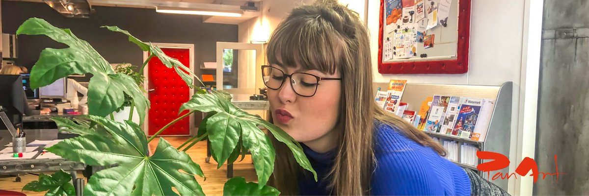 Vandaag is het Fascination of Plants Day! De planten bij PanArt kregen gisteren wat extra aandacht en liefde... 💚 Ga jij nog iets bijzonders doen met jouw groene vrienden? 🌳🌾

#PanArt #reclamebureau #mediadesign #development #communicatieadvies #fullservice #Rhoon #kantoorfun