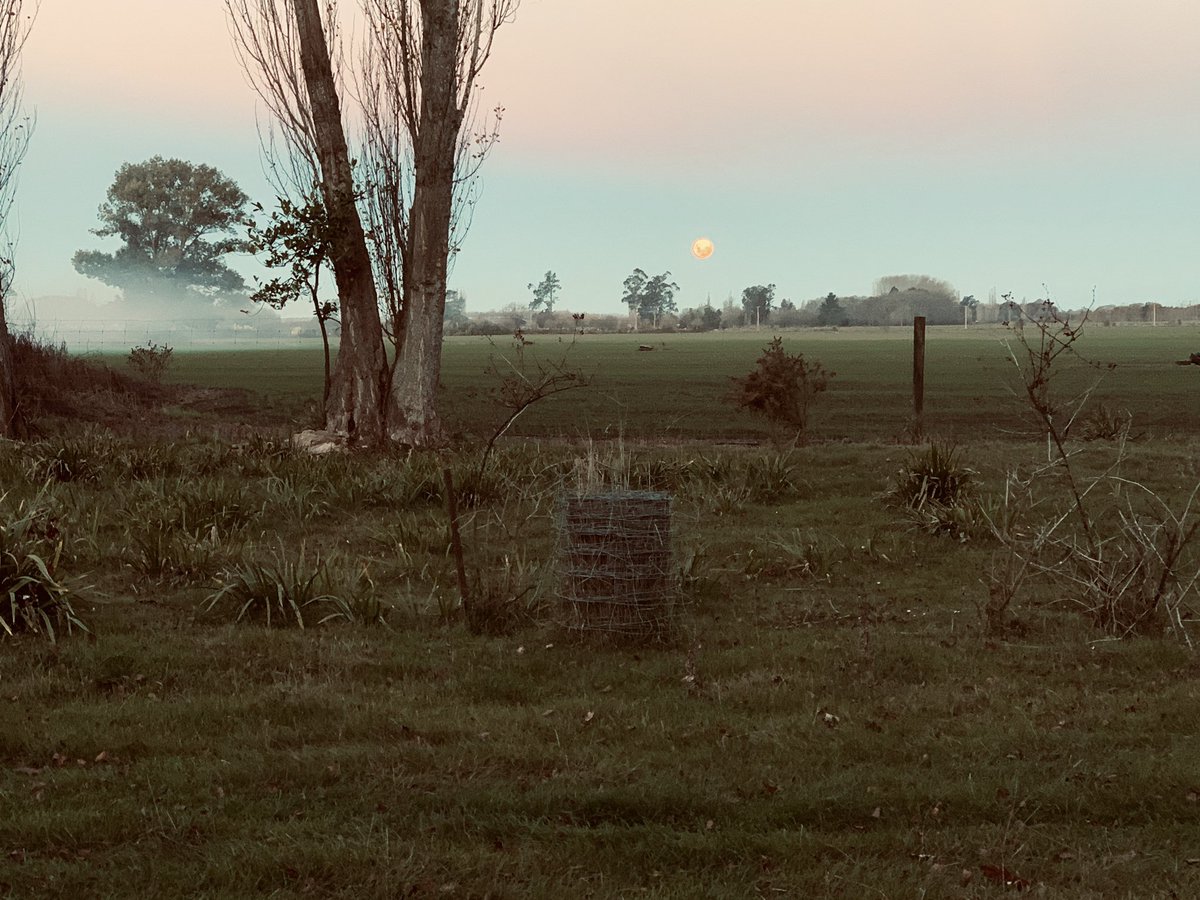 kendrashortmw's tweet photo. Full moon and there are some women very keen to meet their babies...maybe an awesome night in store for me and other midwives holding space for strong wāhine and witnessing their power @nzmidwives #ruralmidwifery #funsaturdaynight #birthhappens #homebirth https://t.co/L4QIKHoa9i