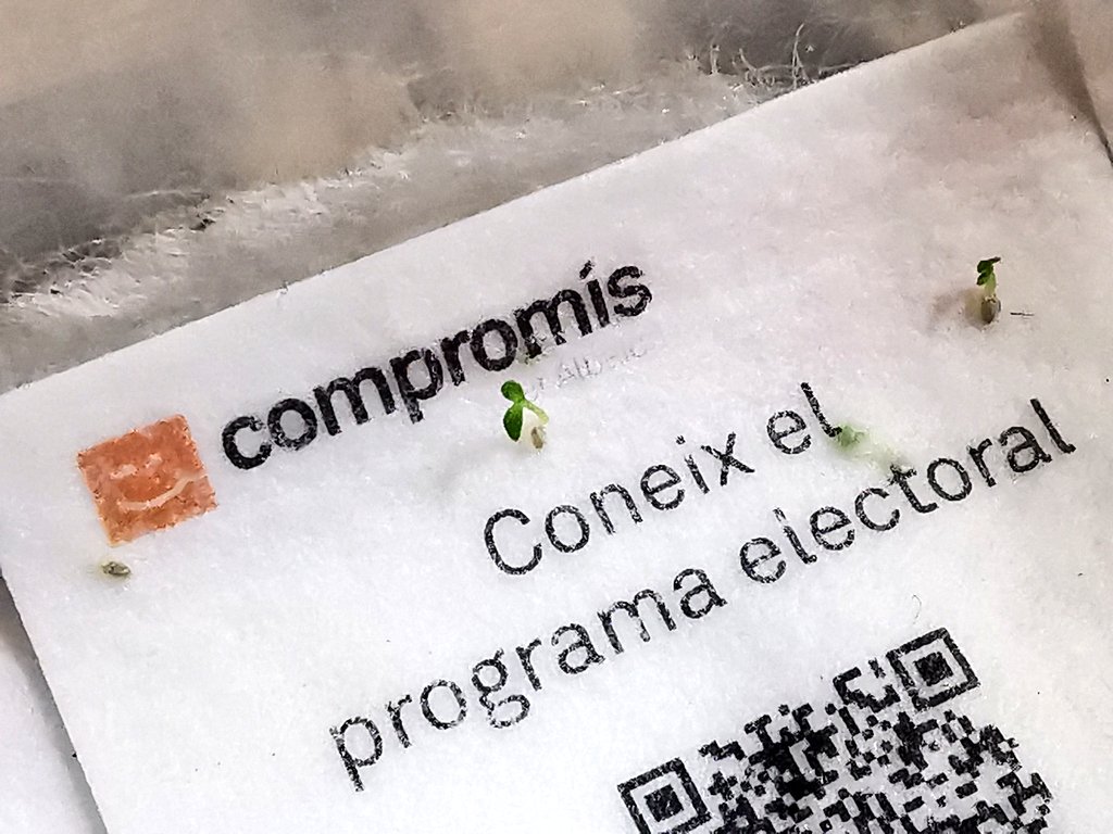 🌼 Moltes gràcies <a href="/FerrerGra/">GracielaFerrer</a> per acompanyar-nos ahir en l'acte central de campanya. 
🇪🇺 Ens va parlar d'Europa i del Govern del Botànic.
🌱 Ella ja coneix el programa que germina cap a L'Albaida del futur.
<a href="/monicaoltra/">Mónica Oltra Jarque</a> <a href="/Sebastia_Jordi/">Jordi Sebastià</a> @josepalqui <a href="/compromis/">Compromís</a>