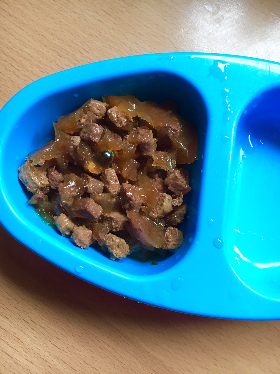 FamilyLawClinic's tweet photo. And for #Pablo โs breakfast today itโs beef in jelly with fish oil Omega3 (spot the capsule!) and his daily #aloe #drinkinggel He loves his shiny coat & bright eyes and looks forward to a healthy, arthritis-free old age ๐ป๐น๐ฆ https://t.co/k22iQuwq6u https://t.co/IDX3K0hglJ