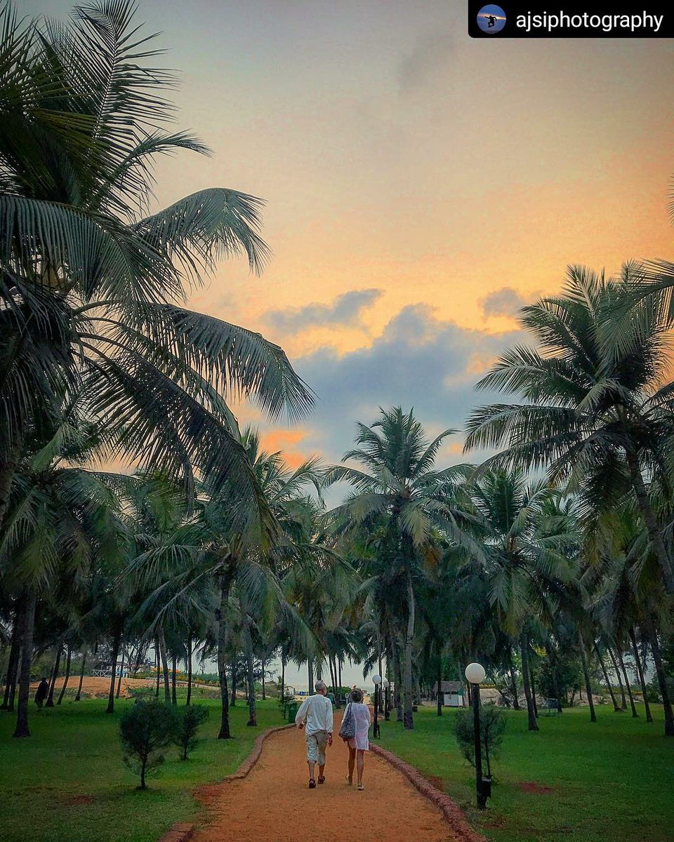 Novotel Goa Dona Sylvia Resort tweet media