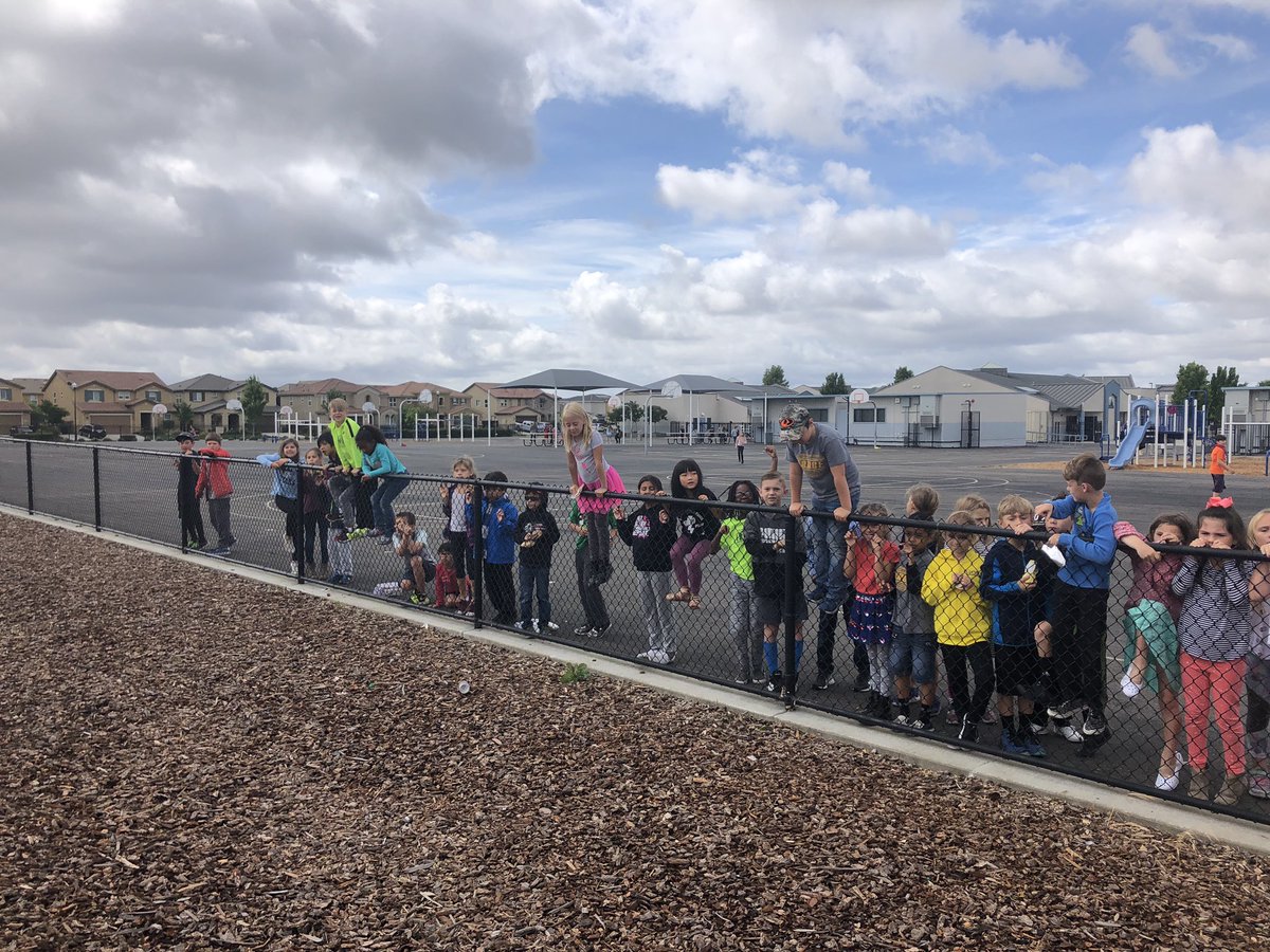 teachercutter's tweet photo. Butterfly release day! #paintedladies #RCSDChampions @rcsdfiddyment https://t.co/4tfn7mR4xI