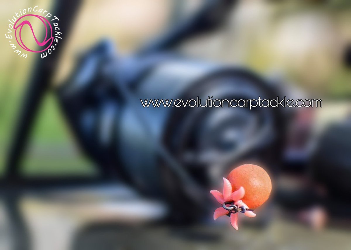 DONT LEAVE IT LATE. Get your order placed in time for your next session. We have a massive selection of artificial bait, the revolutionary NSR &amp; our last elements range of end tackle.
Evolutioncarptackle.com #EvolutionCarpTackle #Evolve® #ArtificialBaits #NSR® #LastElementsRange