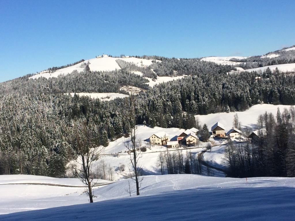 ESlovenica's tweet photo. Zima -Winter #Hill #hribe #mountains #etnobotanica #etnobotanika #drevesa #trees #winter #zima #snow #sneg #frost #narava #nature #forest #gozd #landscapes #naturephotography #instanature #Slovenija #Slovenia #javedi #ifeelslovenia #discoverslovenia #travel #instatravel #旅行 https://t.co/HBzTz0Wvtn
