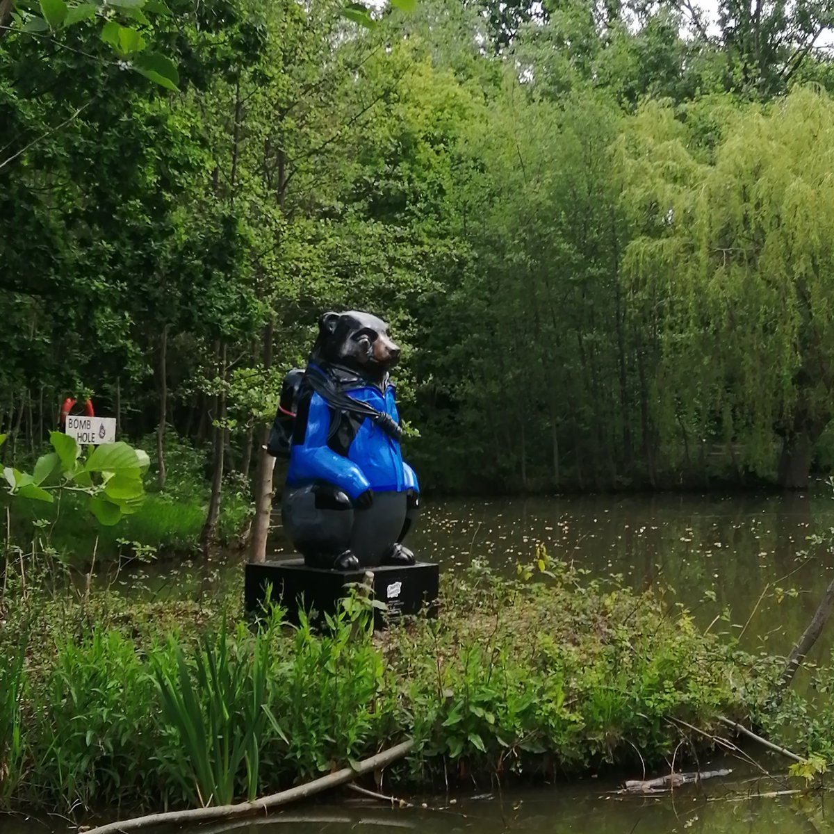 The Yorkshire Terriers tweet media