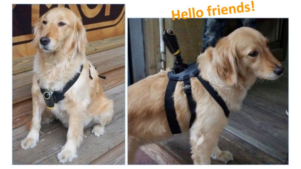 MySight360's tweet photo. Today in microfashion🤩🤩

The main spirit of OmiCam is "wearable".

You can find it easily be mounted on your backpack, bike even your lovely puppy!

Even you are in the motion you still get steady videos with our auto-horizon calibration. https://t.co/0QEEFy8qwe