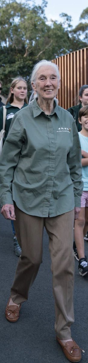 Roots_Shoots's tweet photo. Check out @EnvironmentShow blog post 'Jane Goodall: advocate for natureโ were you can also listen to @PhilStubbs interview with Dr. Jane Goodall. https://t.co/Jiv2nqo37M #JaneInAu19 #ThinkGoodall #janegoodall To join our Aus @Roots_Shoots community head to the link in our bio. ๐ฑ https://t.co/rydhkGhmhT