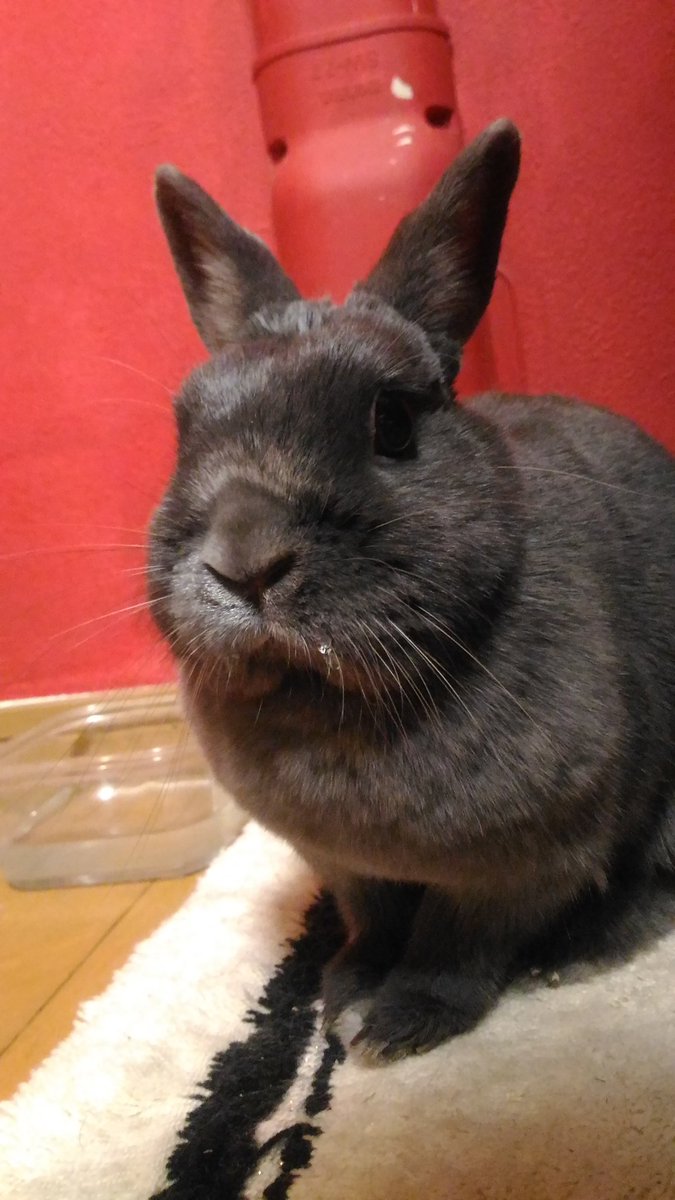 お主さては･･･水飲んだな？！笑