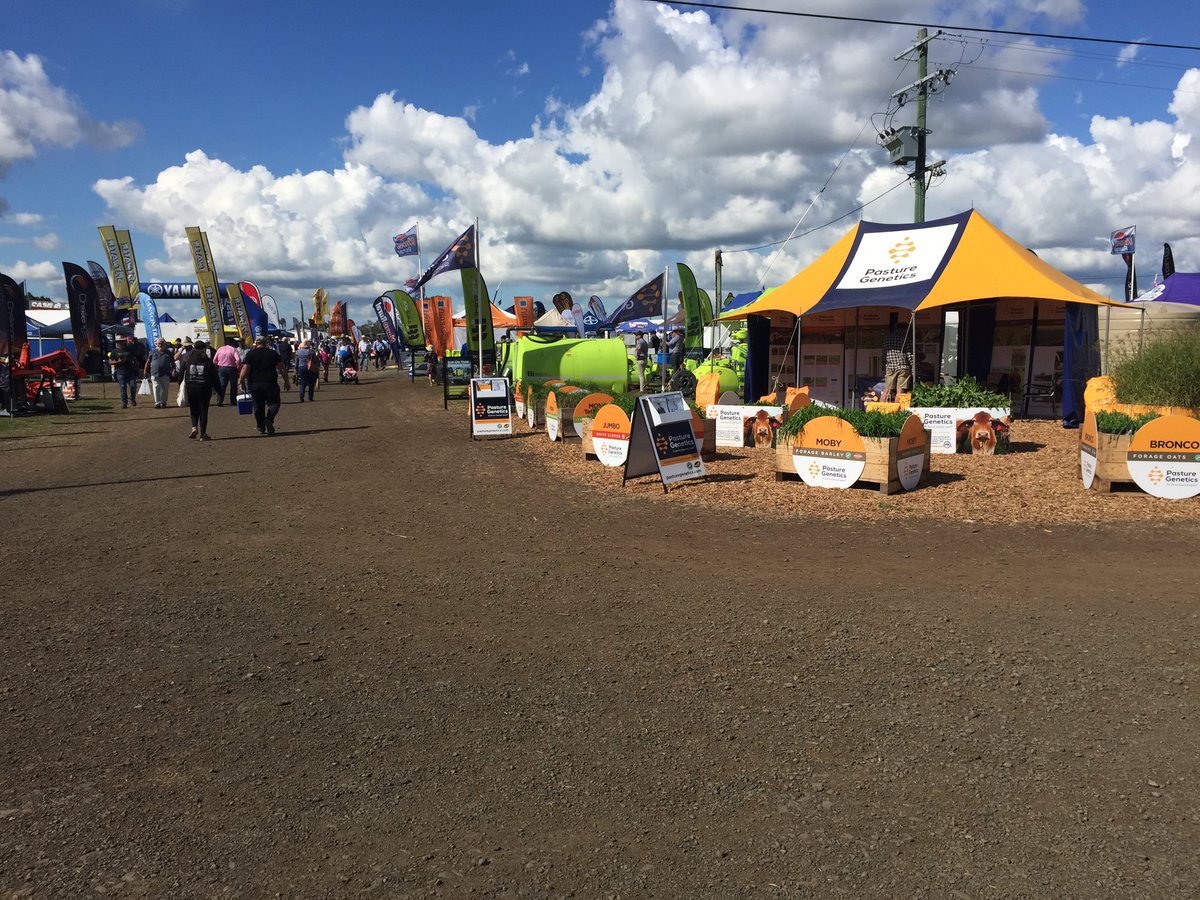 Alister Bennett tweet media