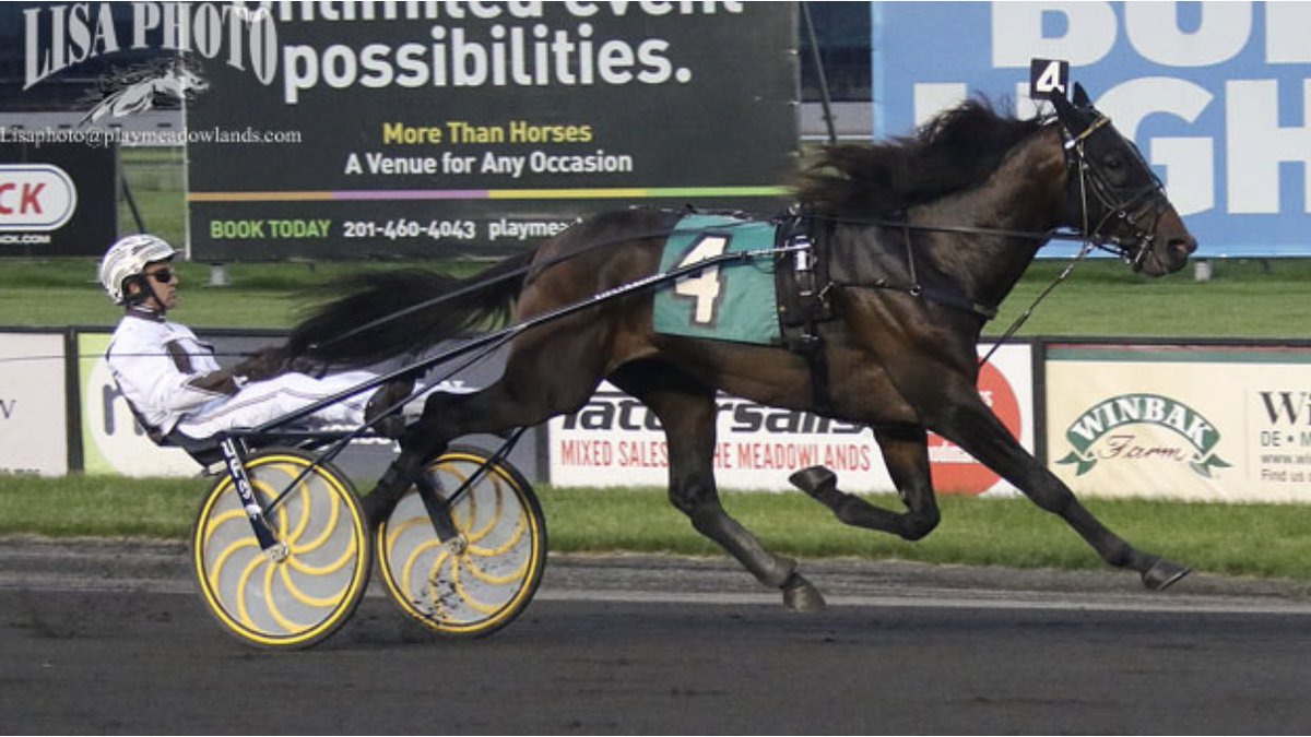 Joe_Zagari's tweet image. #Greenshoe 🇺🇸 #FatherPatrick won #NewJerseySireStakes 3 Year Old Colts &amp;amp; Geldings 1st Leg 🏆 🇺🇸 on @TheMeadowlands with #BrianSears &amp;amp; @MarcusMMelander ⏱️1:51.2 (26.2 - 1.09.2)
📸 @LisaPhotoM1