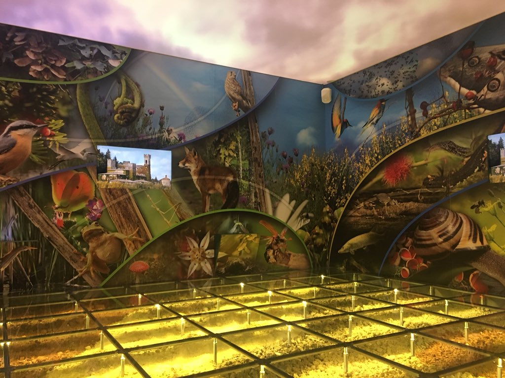 WWFitalia's tweet photo. Oggi è una giornata speciale a Monticiano, in provincia di #Siena: sta per aprire il Museo Della Biodiversità gestito da @WWFOasi!
Il primo tassello di un importante progetto che porterà alla realizzazione di un Borgo della #biodiversità https://t.co/iMJ3c5D57l
