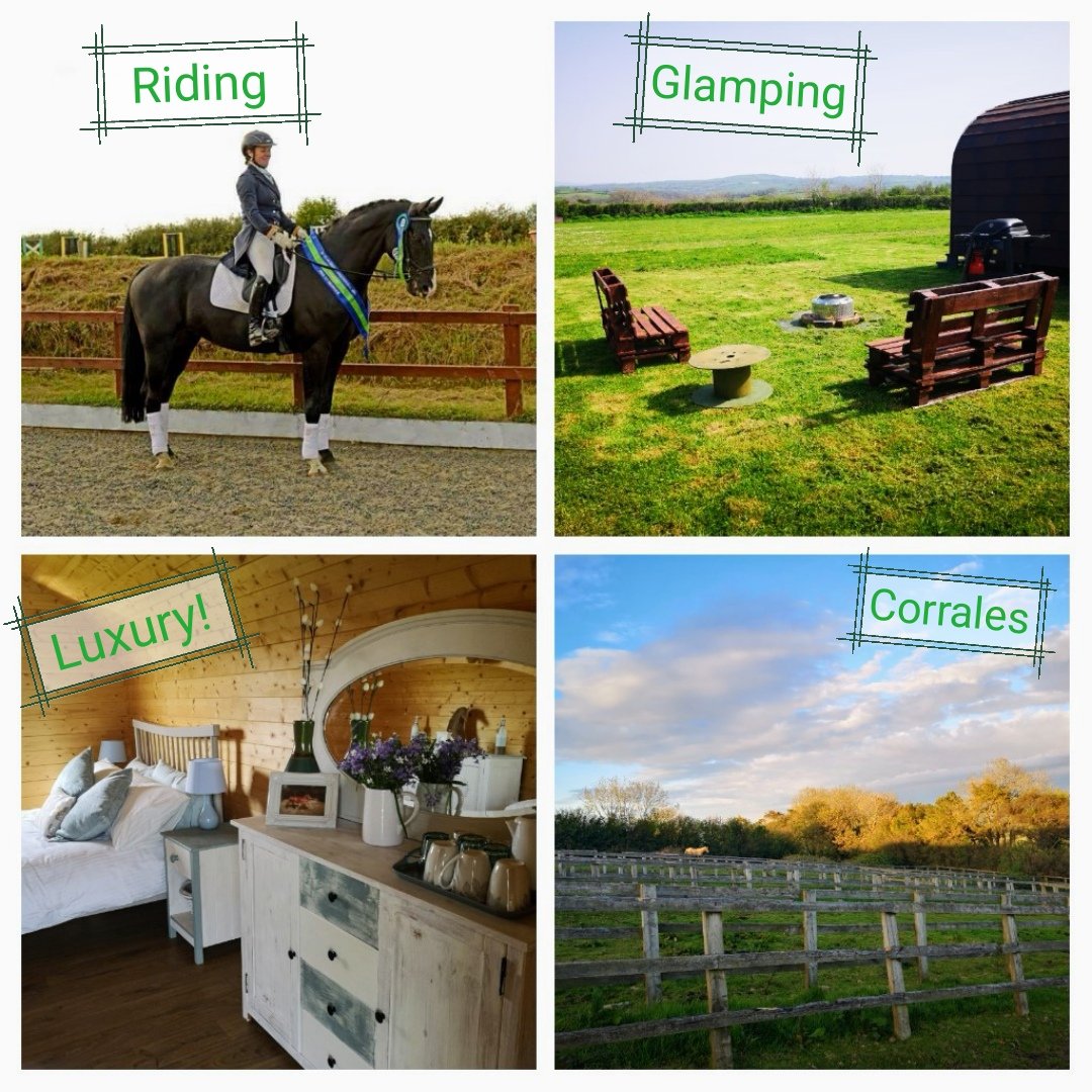 CelaeronG's tweet photo. Glamping for horse and rider!! #celaeronglamping #wakeupdifferent https://t.co/UQI6QyzhHN