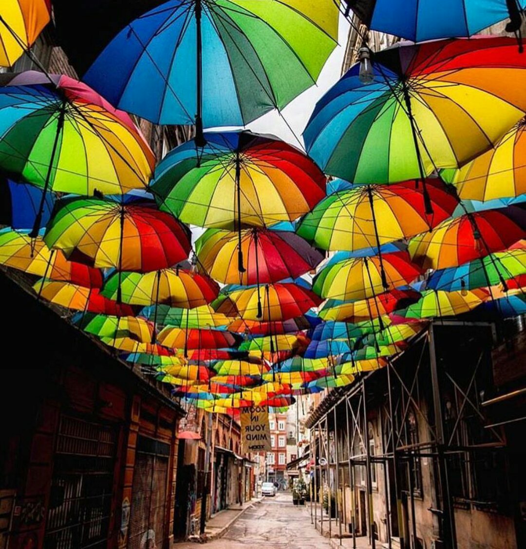 captain_mehyar's tweet photo. @carmluzh @bellarinablues @xmsangelicax @xolittlet1 @RossZehcnar @a_zicc @Leslie_Annie @khloe @pumpkinpammy @RoulaChamieh @Leslie_Annie @AuthorJoeNBrown @LaurenVictorita @BloodyfasterTV @alnefrem @offroadprofiler @fraservalley091 @orbitwithlove @KariChornenki https://t.co/gNoOeYHIkz
