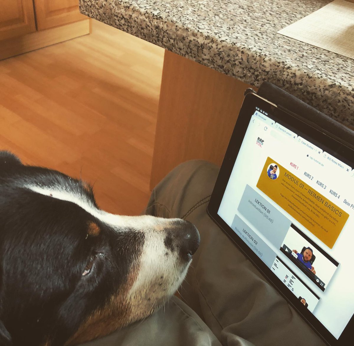 rap_tutorial's tweet image. Der erste Betatester des #raptutorial ist am Start ☝️ #betatest #betatester #deutschrap #rappen #appenzellersennenhund #sennenhund #bernersennen #entlebucher #doglove @ (link: RAP-TUTORIAL.de)
