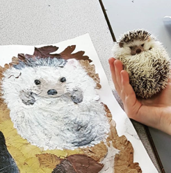 Strode's College tweet media