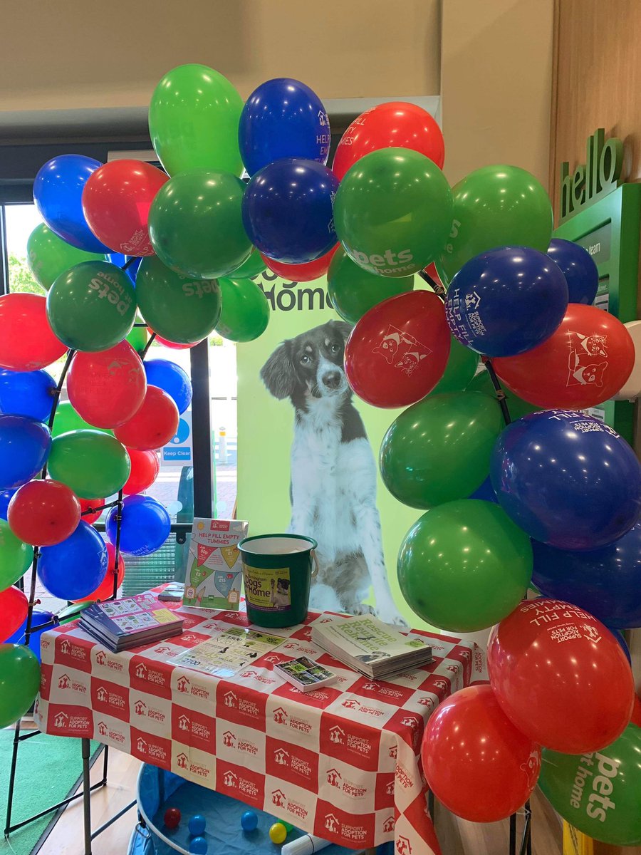 BhamDogsHome's tweet photo. The ‘filling empty tummies’ campaign has started with @AdoptionForPets  and @PetsatHome come and see us in store today in Erdington to help raise vital funds and awareness for our stray dogs. #supportmatter #supportchangeslives #bdh #birminghamdogshome https://t.co/W3iHeej2vz
