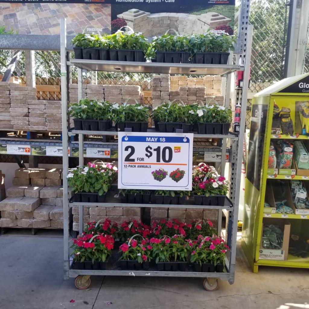 TerryThurst's tweet photo. 12 pk Ad Set at 281 https://t.co/mTdN4EfI0R