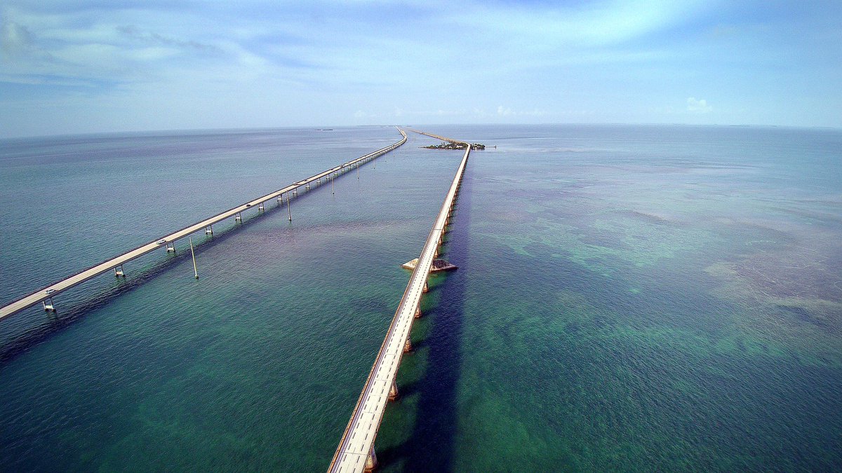 VISIT FLORIDA tweet media