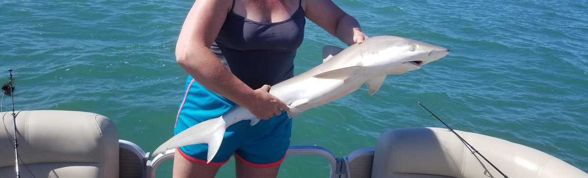 DrAlexAmanda's tweet photo. #blacknose #shark #noaa #conservative #makeupbymandyb #makeupbymandy #youtuber #bocagrande #southflorida #saltlife https://t.co/4aloWB0C6z