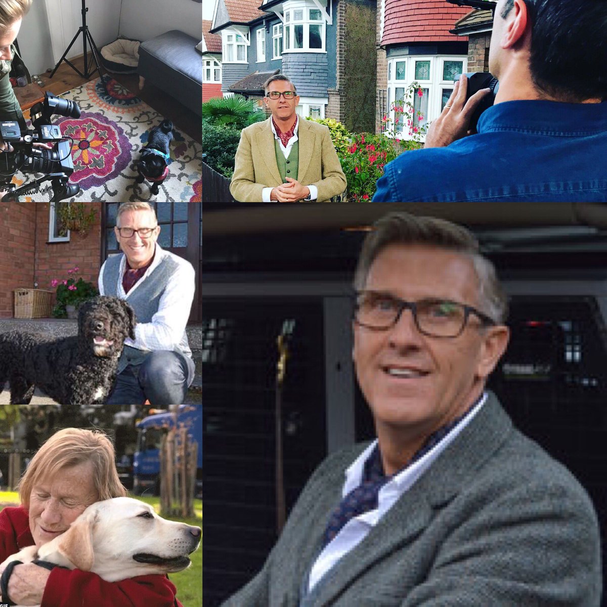 dogs behaving badly 2019