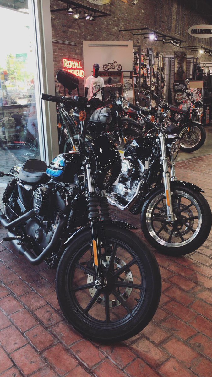 BumpusH-D tweet media