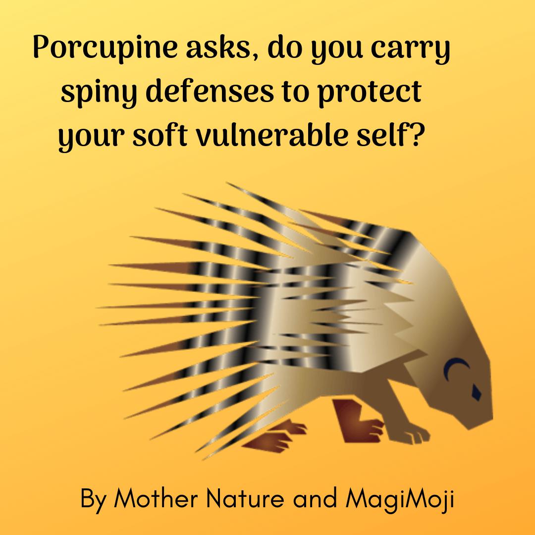 What do your defenses look like? #Porcupine is small and respected for its spikes defenses, do you know how you carry your protection? #aninalmedicine #createmagimoji #animals #awareness #mindfulness #gaia #discover #yourself #innerworlds