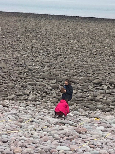 Year 12 busy collecting data for their investigations. Great team work.