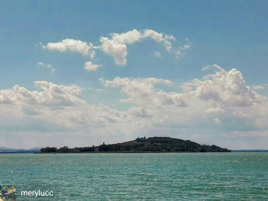 Isola_Polvese's tweet photo. from @merylucc - Isola Polvese. #cloudysky #clouds #nuvolebianche #trasimeno #trasimenolake #isolapolvese #polveserep #umbria https://t.co/X59usG7yzf