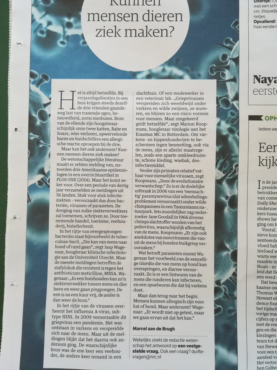 Merel Langelaar tweet media
