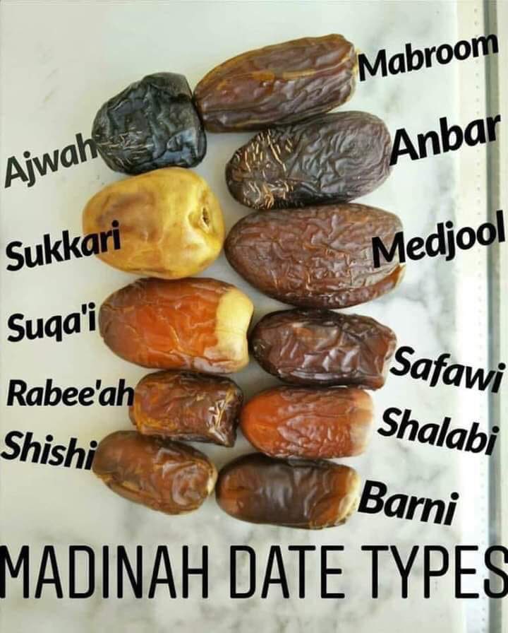 🍴✨ بے خبر سویلین tweet media