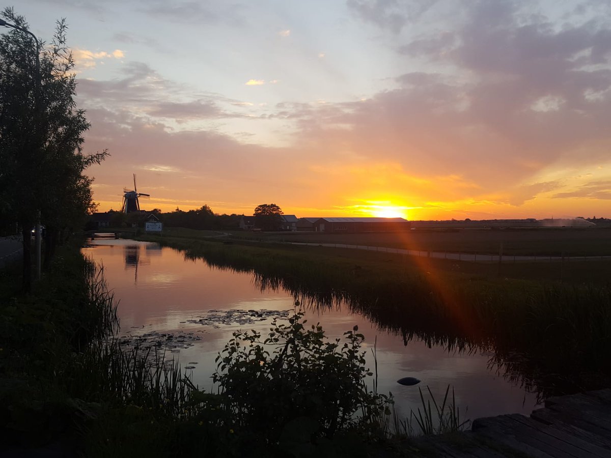 Afgelopen week startte het vleermuisseizoen! Ook ik ging savonds met collega's op pad voor een veldbezoek. Naast een geslaagde ronde met interessante waarnemingen leverde het ook dit mooie plaatje op #GroeneHart  <a href="/tauwecologie/">De ecologen van TAUW</a>