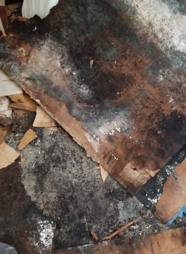 CleanolClean's tweet photo. Mold growth underneath floor tiles.  Do not try to tackle this yourself, #mold spores are highly #dangerous and #toxic to your #health.  Call a local professional to #remediate. https://t.co/N9Rsv0rAla