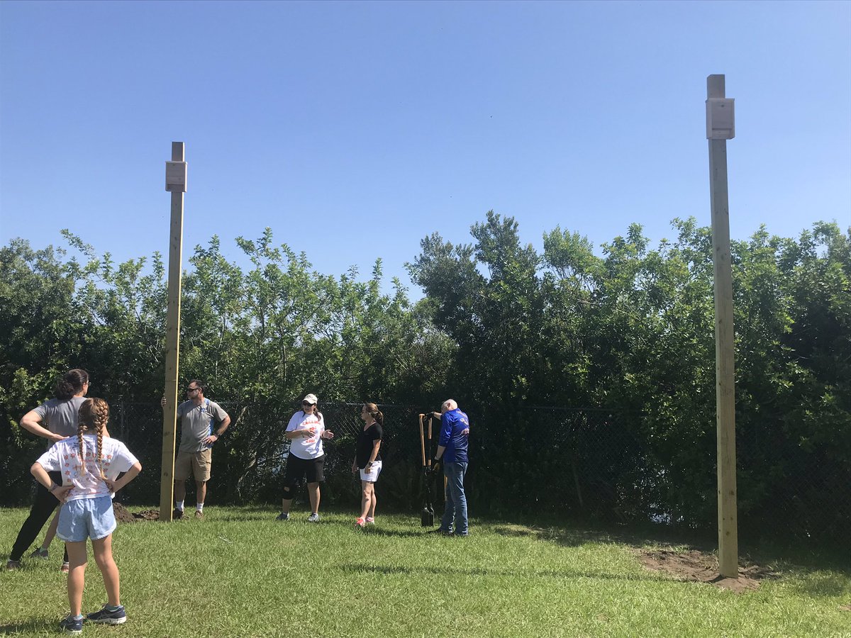 hcpsCollinsNEHS's tweet photo. Our bats now have a place to call their own...and not in our building. Thank you to all our helpers https://t.co/ucEkzIL4Ft