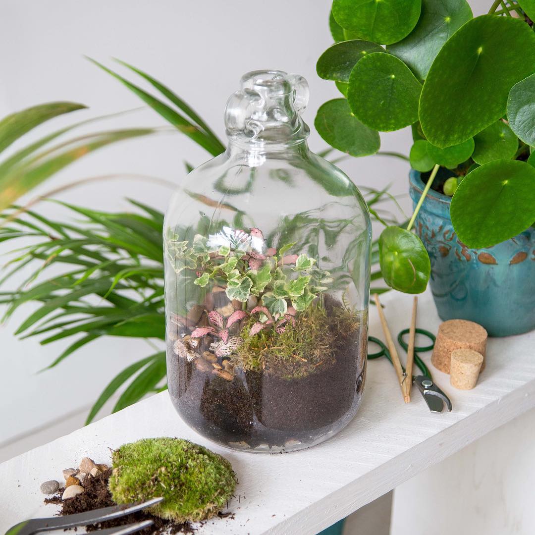 The Joy of Plants (@thejoyofplants) on Twitter photo Make a green gift for your friends, family or yourself at London Terrariumsā workshops. š·: <a href="/LDNterrariums/">London Terrariums</a> Make a green gift for your friends, family or yourself at London Terrariumsā workshops. š·: <a href="/LDNterrariums/">London Terrariums</a>