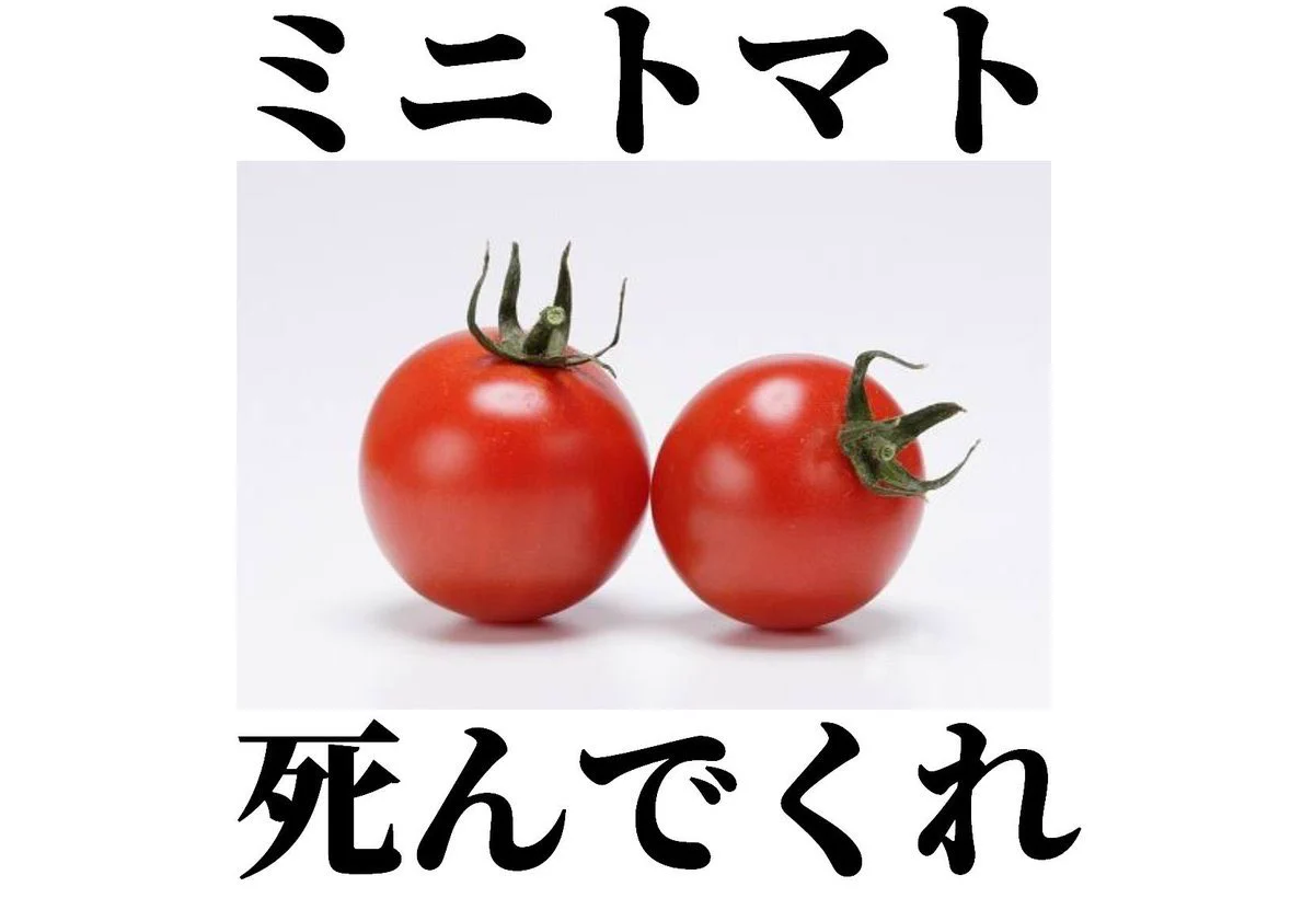 トマト嫌いの流儀がトマト嫌いには分かりみが深すぎるww