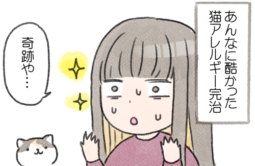 猫アレルギーについてをブログの方にまとめました！
猫アレルギーの方も、そうでない方も、知っておいて頂ければどこかでお役に立つかもしれません(*^^*)
 