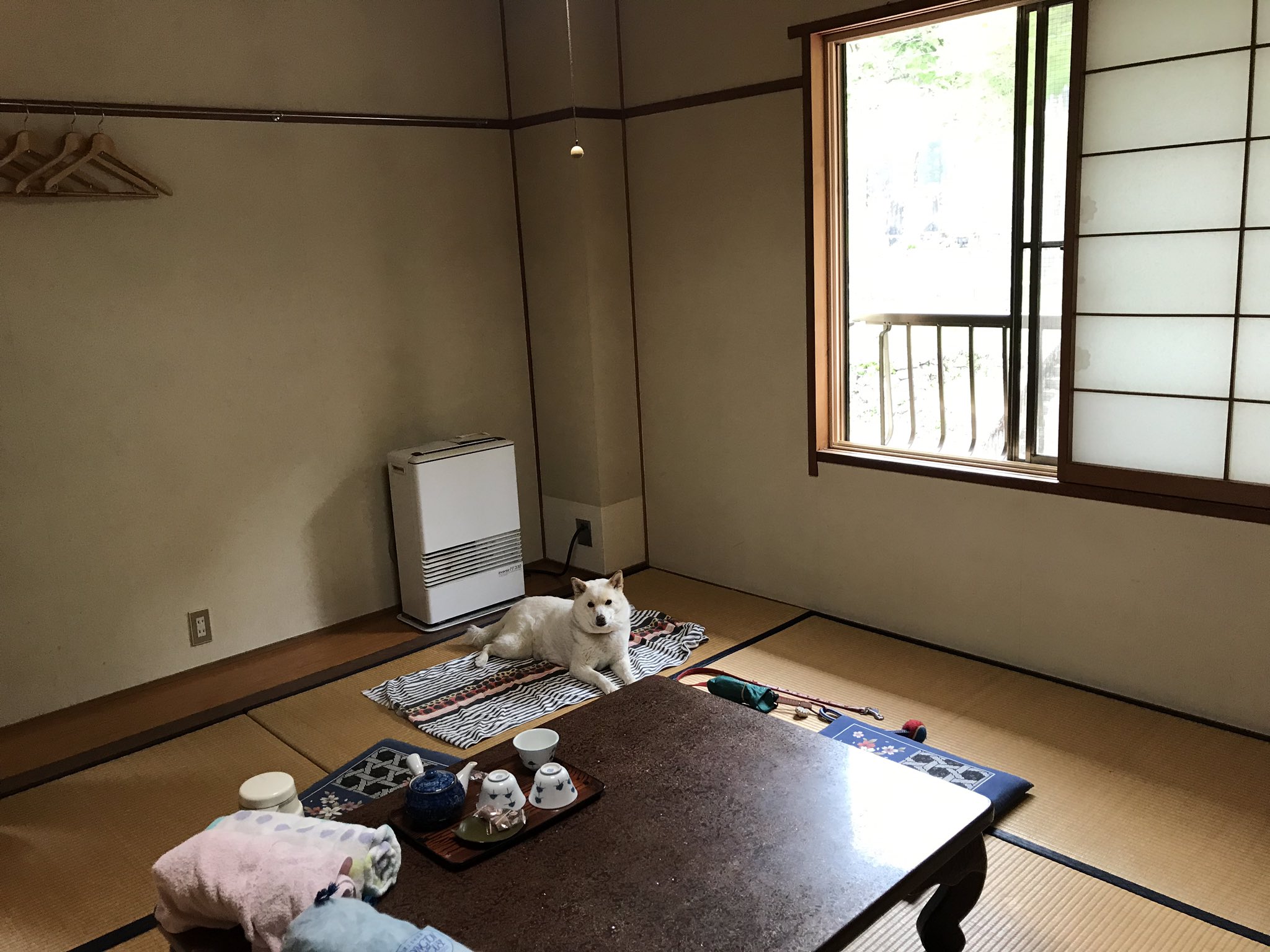 ボク シゲちゃん 本日のユキと一緒に泊まる宿 くるみ沢旅館 長野県木曽郡大滝村 昔懐かしの旅館と言った雰囲気で ワンコ連れは1日1組限定の宿 W 宿のワンコもユキちゃんで うちのユキと同じ歳で甘えん坊のワンコ お風呂は温泉では無いが 薬草 ボク シゲちゃん 本日のユキと一緒に泊まる宿 くるみ沢旅館 長野県木曽郡大滝村 昔懐かしの旅館と言った雰囲気で ワンコ連れは1日1組限定の宿 W 宿のワンコもユキちゃんで うちのユキと同じ歳で甘えん坊のワンコ お風呂は温泉では無いが 薬草