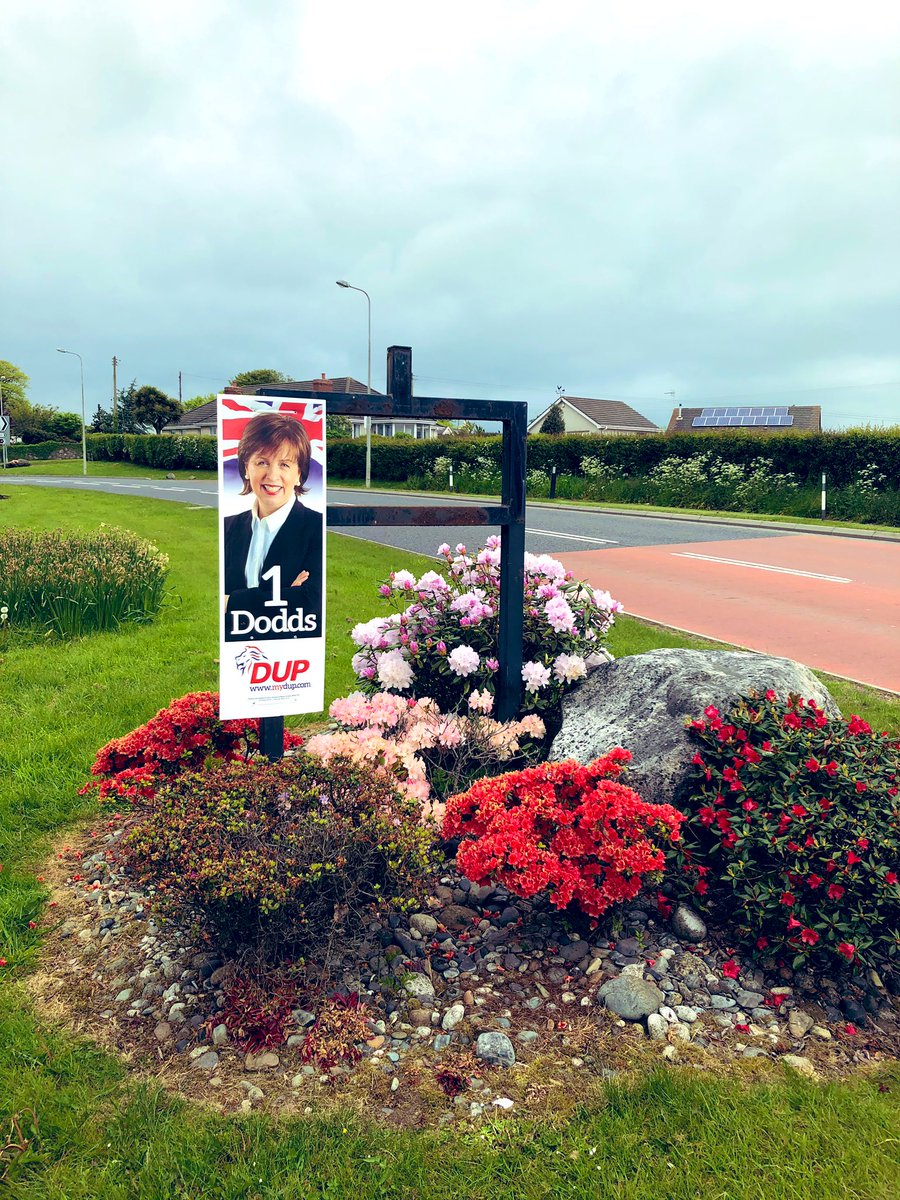 mckee1690's tweet photo. And that’s the last of the South Down posters up...
On the 23rd of May Vote @DianeDoddsMEP No1, and then transfer to all pro-union candidates.
#Dodds1 #BinTheBackstop @duponline https://t.co/iYt04Y2lBL