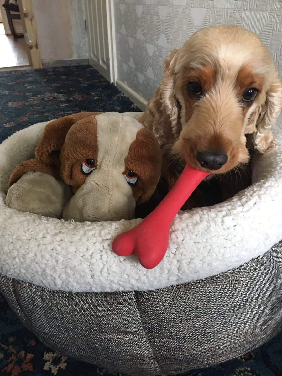 emma jackson tweet media