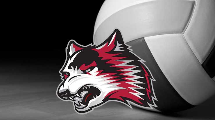 Volleyball: Volleyball: Youth camps set for June 8, June 22 and June 29
 - iueredwolves.com/article/5576