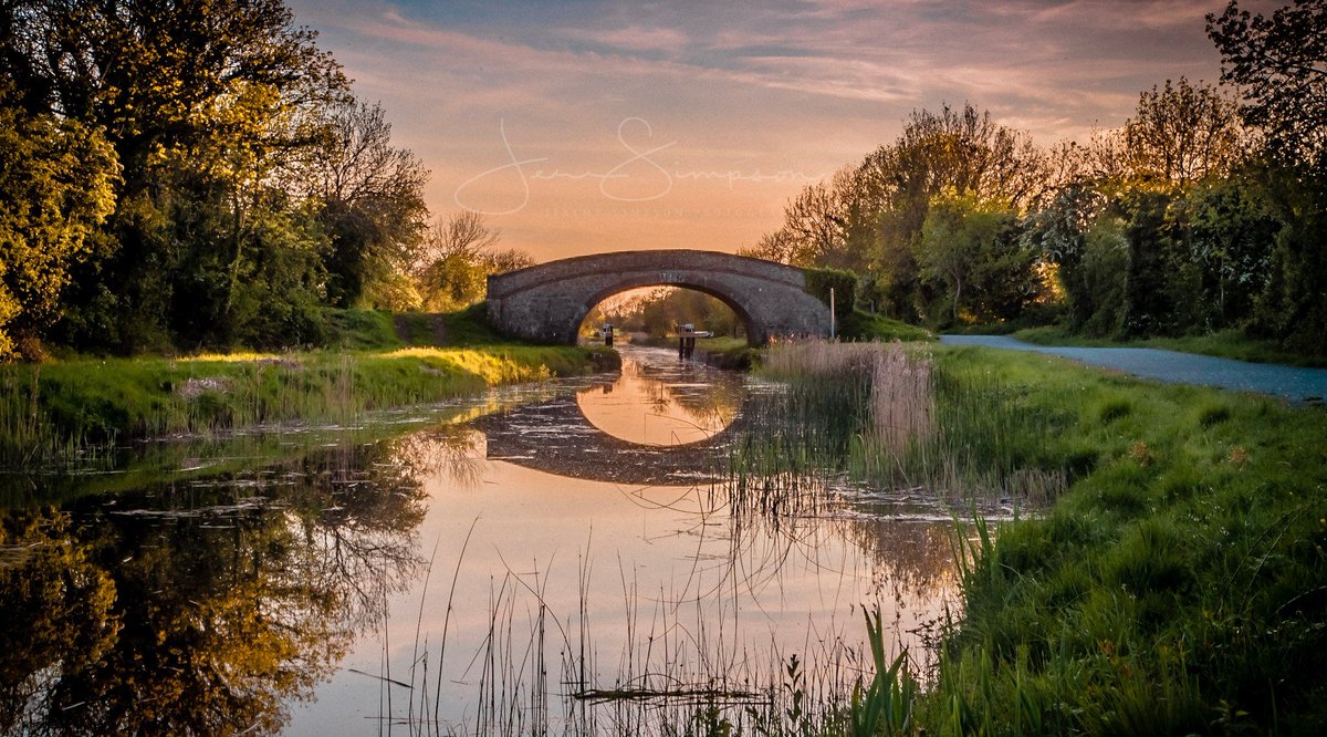 Quite evening down the Grand Canal, Edenderry Co Offaly, Ireland.

IG: instagram.com/kiwi_exploring…
<a href="/oldeire/">Ryan Renz</a> @pictureireland <a href="/tourismireland/">Tourism Ireland</a> <a href="/discoverireland/">Discover Ireland</a> <a href="/outsidermag/">Outsider.ie</a> <a href="/GoToIrelandUs/">Tourism Ireland US</a>