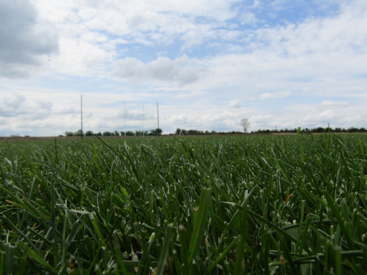 thurlessars's tweet image. Some more photos of our new pitch with goalposts and ball stop nets #thurlessars #pitchdevelopment #midtipp #tipperarygaa