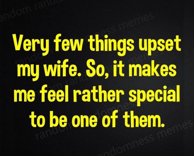 ylind's tweet image. 