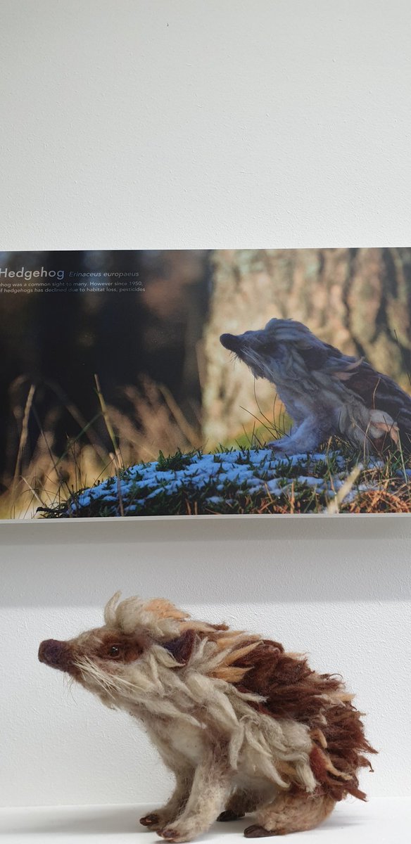 RuthORiordan1's tweet image. The @dundeeuni #djcaddegreeshow is truly incredible. Go, just go.