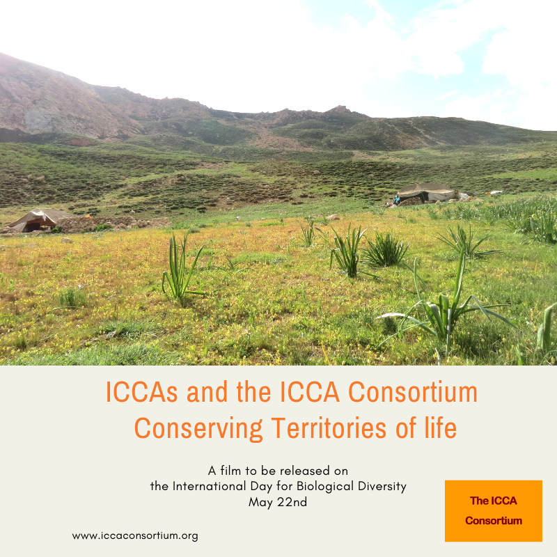 ICCAConsortium's tweet photo. There's a lot of talk about the #extinction crisis, but not enough about solutions. Indigenous peoples and communities are doing more than anyone to protect and conserve #nature. Learn more about #TerritoriesofLife in our new film, launching 22 May!
#IDB2019 @SwedBio @LifeMosaic https://t.co/NkMPL01nYS