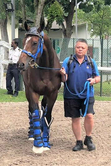 KranjiBroadcast's tweet photo. #KranjiMile19 NEWS 🇸🇬🏆

Both #SouthernLegend &amp; #SingaporeSling have arrived safely @SGTurfClub ahead of next Saturday's Group 1 Kranji Mile
A race Southern Legend took 12 months ago for @HKJC_Racing under @zpurton 🇭🇰

#KranjiMile19

Full story here 👇
https://t.co/LMbF9GlV2o https://t.co/QB2rjflKPv